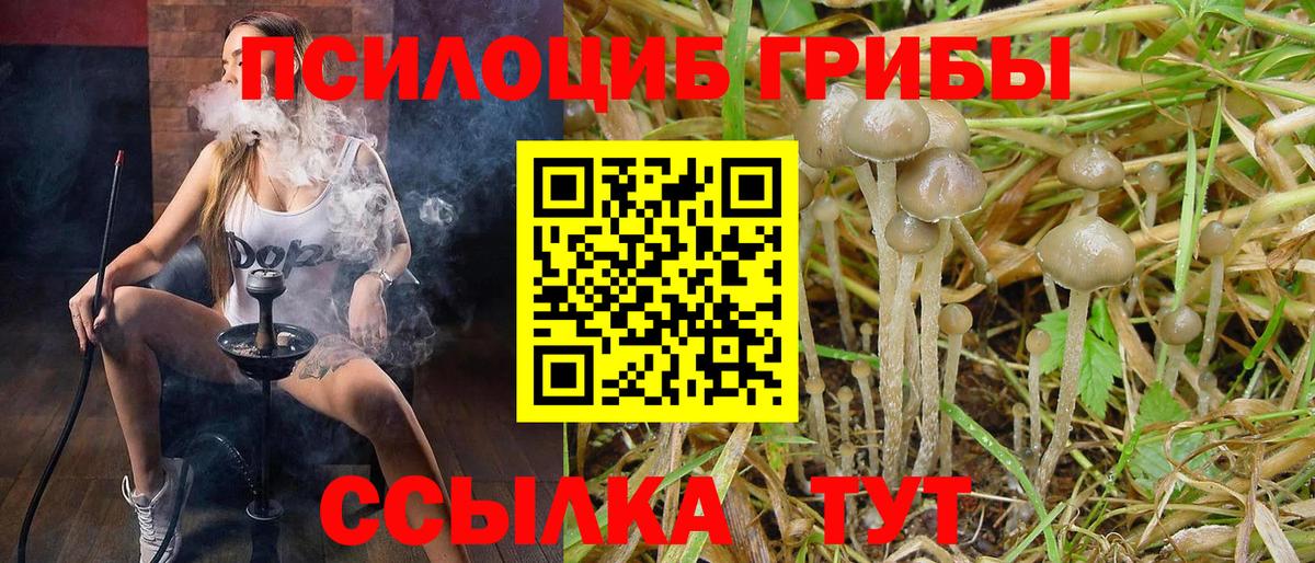 Псилоцибиновые грибы Magic Shrooms Куйбышев