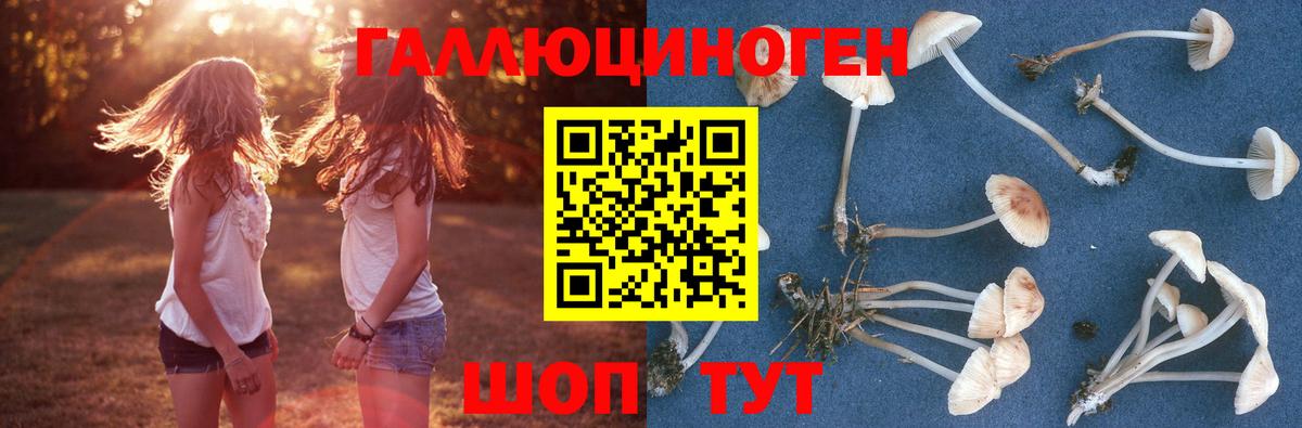 Куйбышев  Псилоцибиновые грибы MAGIC MUSHROOMS  Вход с VPN 